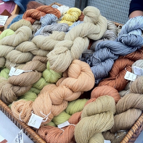 I colori naturali di Nereids' Gallery (foto ©Emma Fassio).