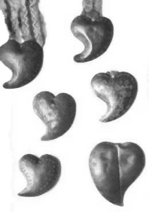 Gujet tradizionali in ottone e legno