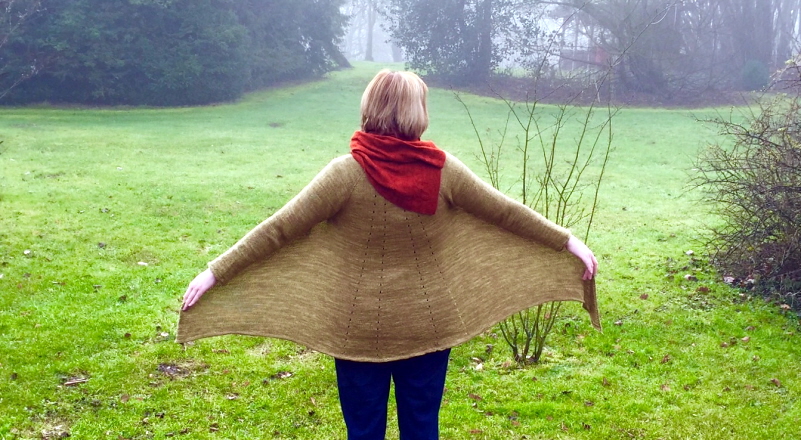 Una versione di Comodo di Nicola Susen