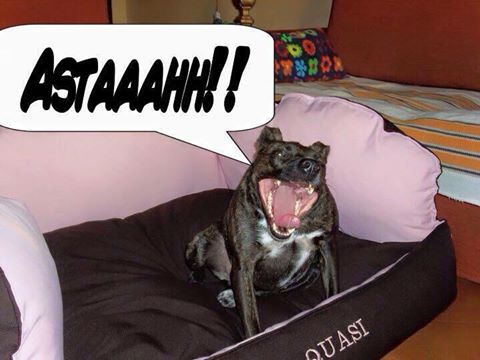 Progetto Quasi: asta di beneficenza