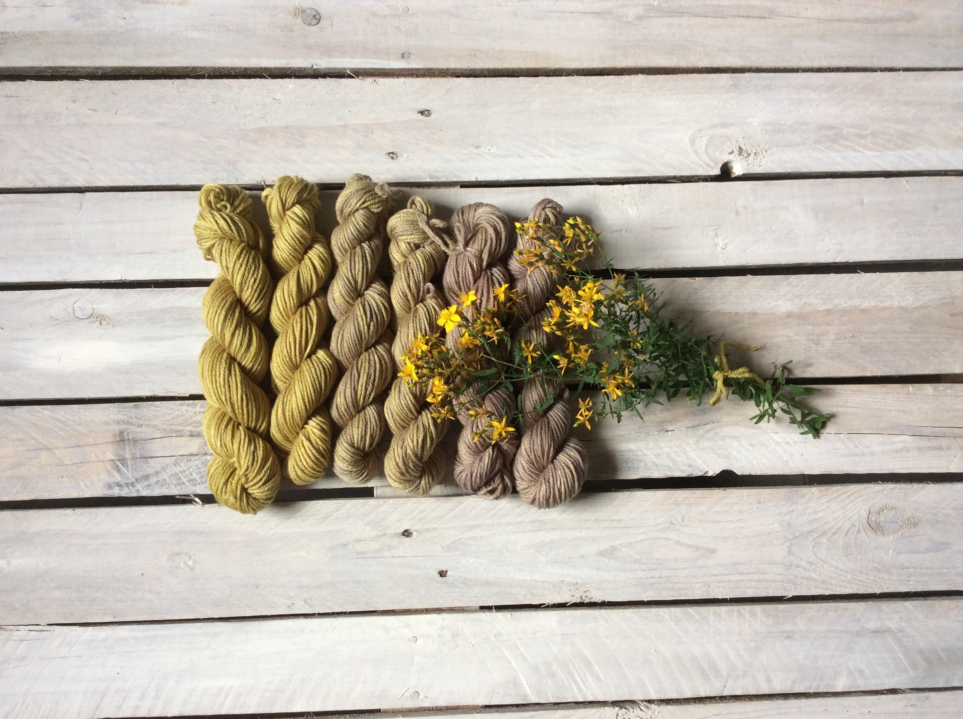 Set merino tinta a mano Iperico Fish&Stich