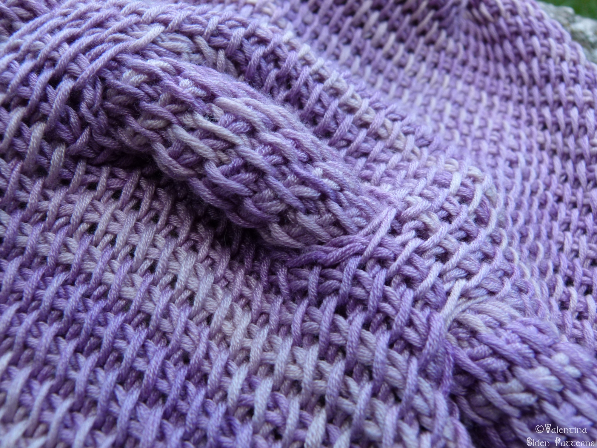 TC Pfeilraupe con Wisteria di Fish&Stich