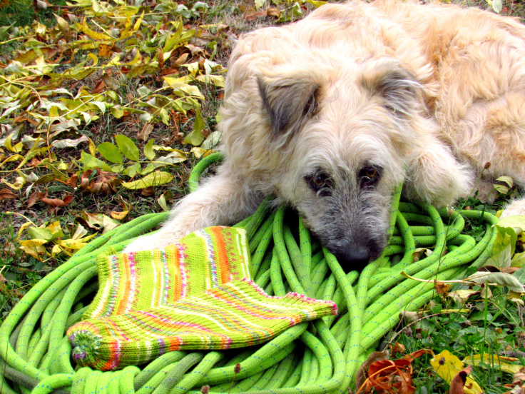 Linea Sport 1.0 Il Gomitolo Errante