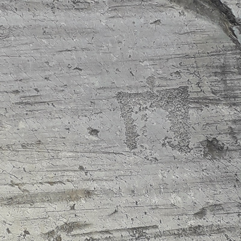 Incisione rupestre di Breno