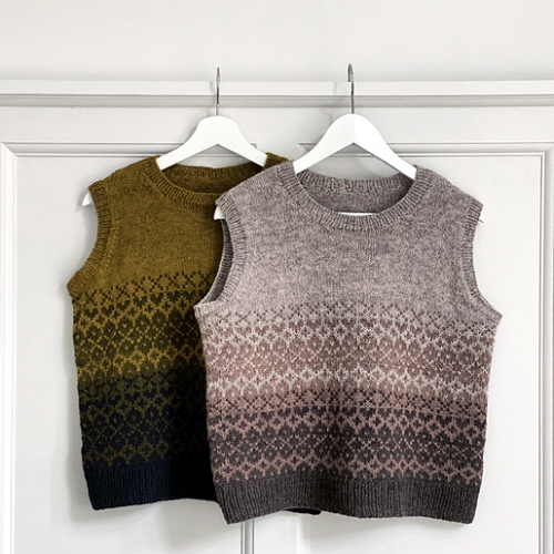 Acquista le istruzioni per questo gilet