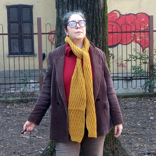 Sciarpa ai ferri a nido d'ape