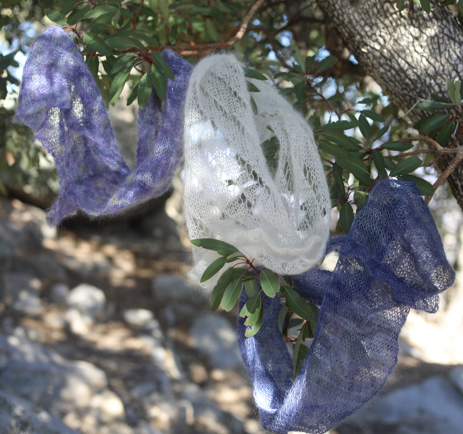 Fairy Rings di Tina Johnston and Laura Tripp beltane