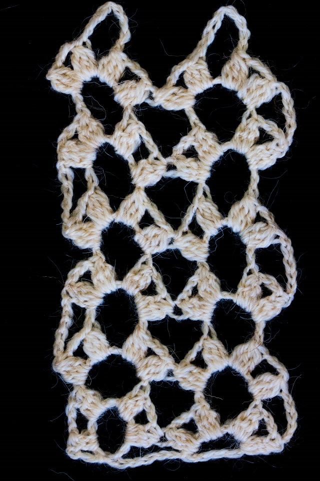 Bordura a uncinetto tratta da una pubblicazione del 1886