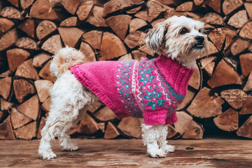 The Arnold Jumper