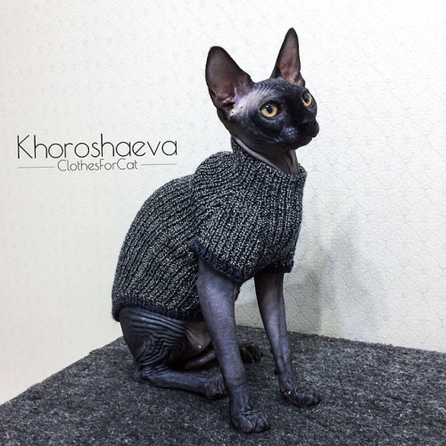 Blackwhite Cat's sweater